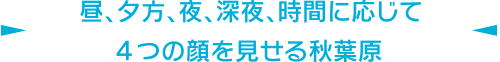 昼、夕方、夜、深夜、時間に応じて4つの顔を見せる秋葉原